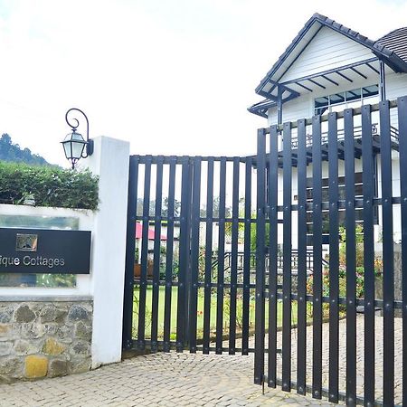 独特小屋酒店 努沃勒埃利耶 外观 照片